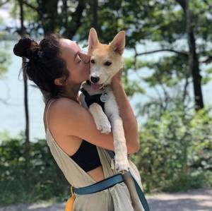 Meet your Posher, Devon